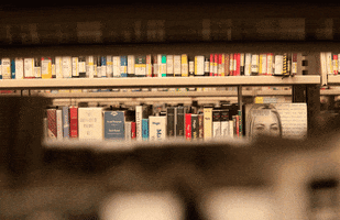 book city GIF by hateplow