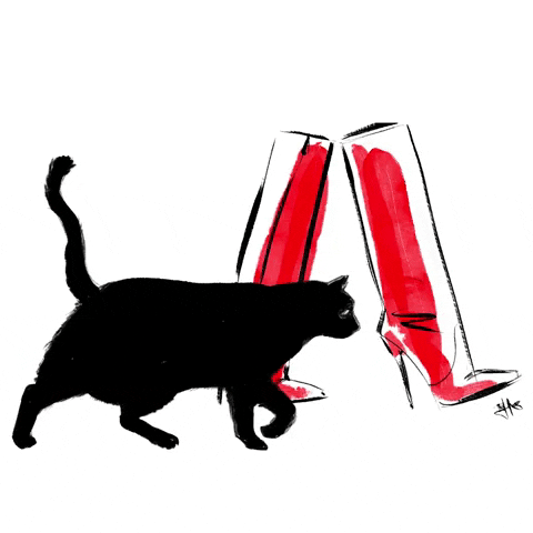 high heels cat GIF by Hilbrand Bos Illustrator