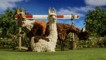 shaun the sheep deal with it GIF by Aardman Animations