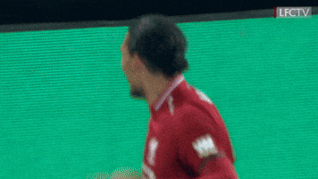 Happy Lets Go GIF by Liverpool FC