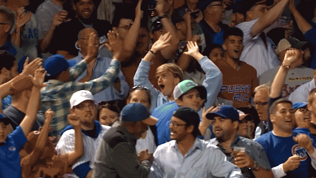 Excited Chicago Cubs GIF by NBC Sports Chicago - Find & Share on GIPHY