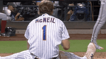 Celebration Wow GIF by New York Mets