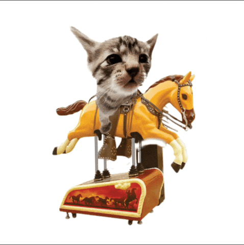 Horse Ride GIF