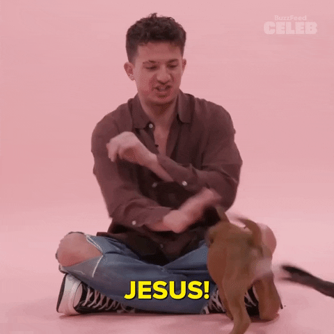 Charlie Puth Dog GIF by BuzzFeed