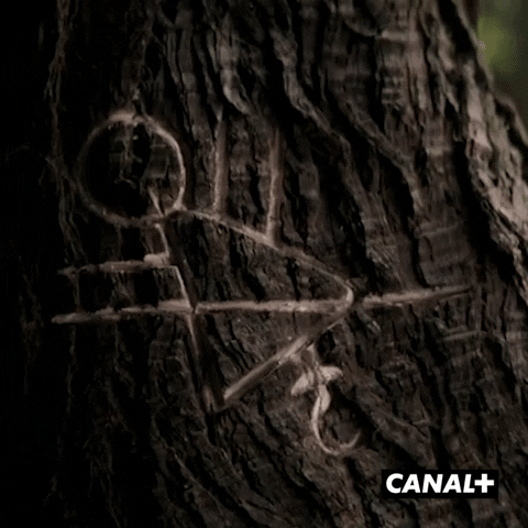 Tree Series GIF by CANAL+