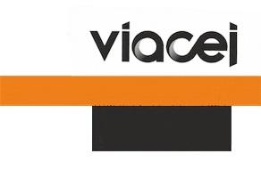 viacejsk Sticker