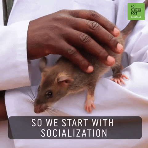 Socialization Socialize GIF by 60 Second Docs