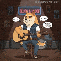 Chill Guitar GIF by Doge Pound