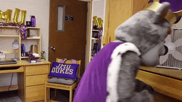 College Homecoming GIF by James Madison University