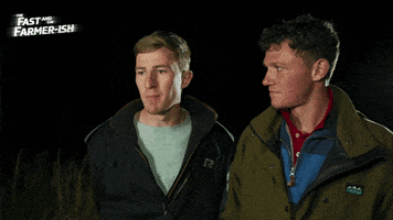 Alleycats TV GIF