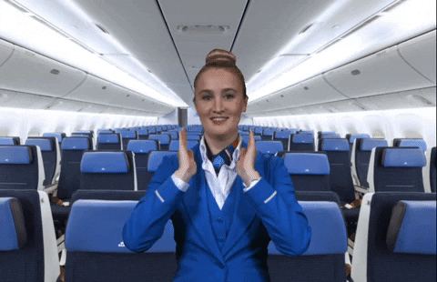 Flying Klm Royal Dutch Airlines GIF - Find & Share on GIPHY