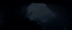 octopus GIF by Beyond Blue