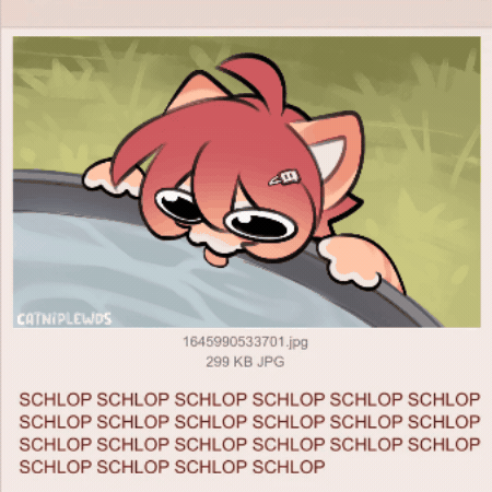 Cat Water GIF