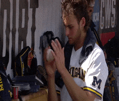 michigan baseball clap GIF by Michigan Athletics
