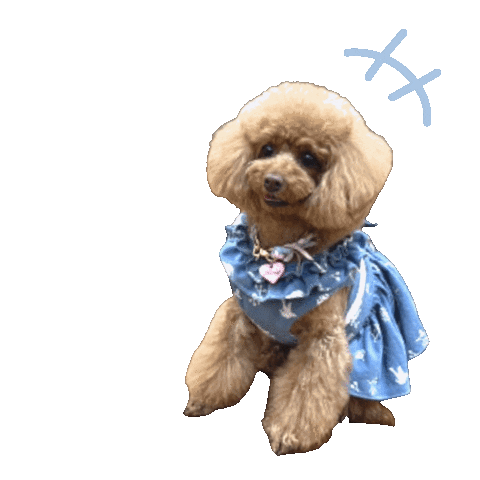 女優ムーコ Sticker