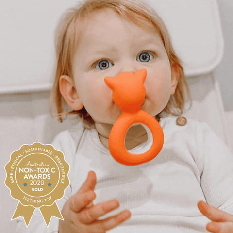 Mizzie The Kangaroo GIF