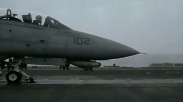 F14 GIF