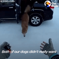200.gif?cid=fc005b083e8b45d10312213032e6f92f36856fc1801e0cae&rid=200.gif&ct=g