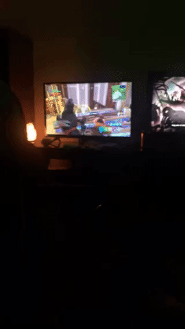 Fortnight GIF