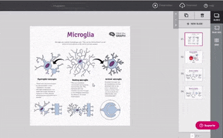 Neuroscience Presentation GIF