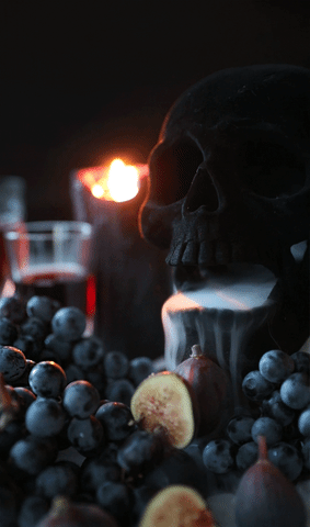 Dry Ice Halloween GIF by Adventures Once Had