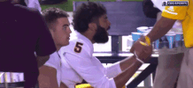 Asu GIF