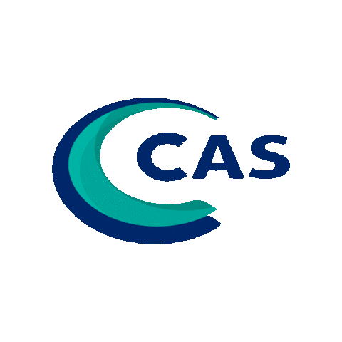 Casindustrial Sticker