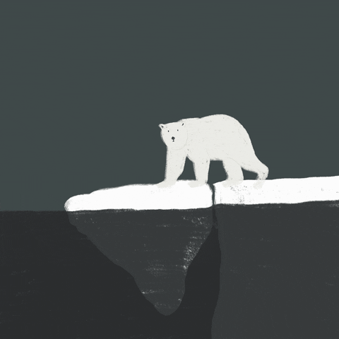coitcreative bear global warming polar bear polar GIF