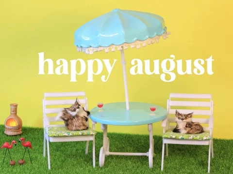 Stop Motion Summer GIF