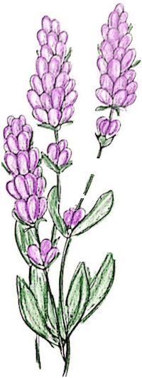 Sticker by Jesús María