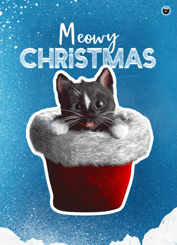 Merry Christmas Cats GIF by Felini Rocks