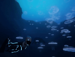diving jellyfish GIF by Beyond Blue