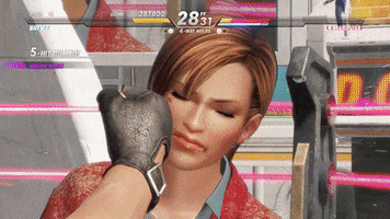 Dead Or Alive Fighting GIF