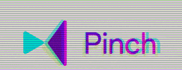 pinchvideo GIF by Pinch
