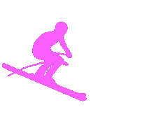 Ski Slalom Sticker