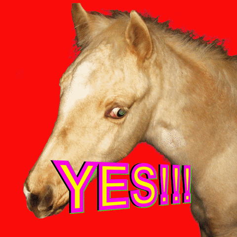 Digital art gif. Horse gives us the side eye is in front of a flashing rainbow background. Text, "Yes!!!"