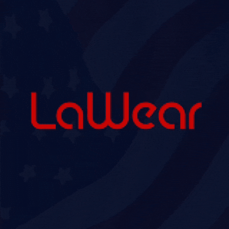 Lawear GIF by Gov. of Arstotzka