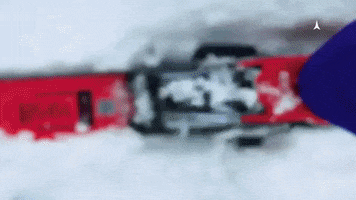 ski redster GIF by Atomic Austria GmbH