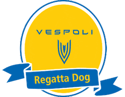 Rowing Regatta Sticker by Vespoli
