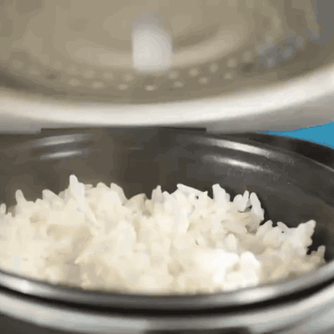 Rice Robot GIF