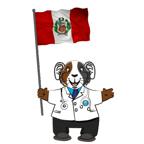 Peru Cuy Sticker by Medical Audicion