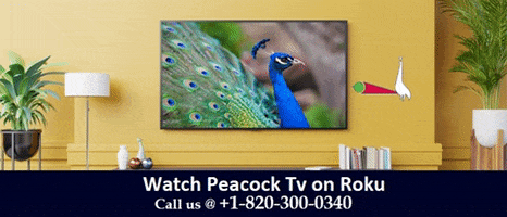 Activate Peacock Tv On Roku GIF