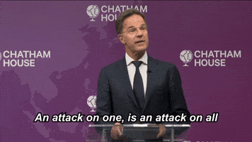 Strongertogether Otan GIF by NATO