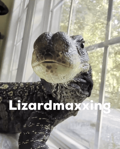 Lizardmaxxing GIF