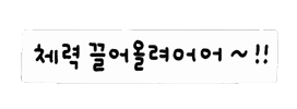 깔끔솜티커 Sticker