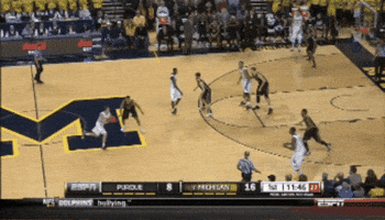Michigan GIF