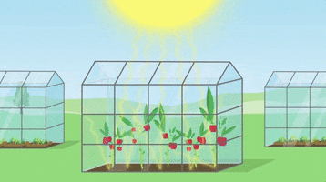 climate change animation GIF
