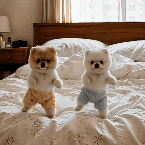 Dance Pet GIF