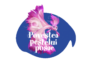 Poutpoutfish Sticker by YAY films