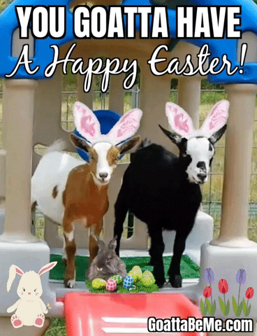Easter Bunny GIF by Goatta Be Me Goats! Adventures of Pumpkin, Cookie and Java!